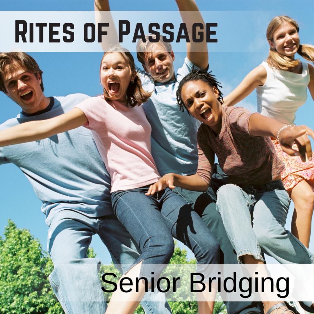 The current image has no alternative text. The file name is: ROP-Bridging2.png