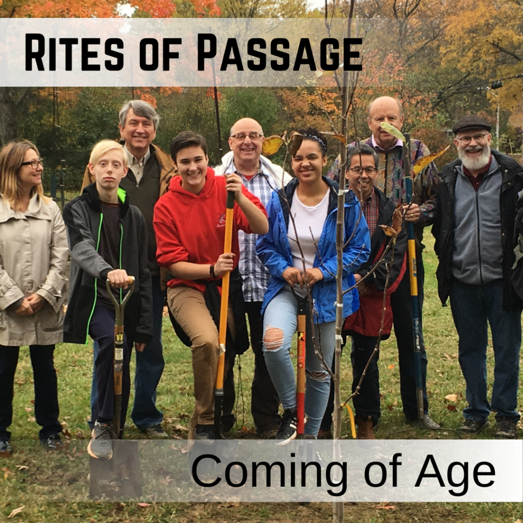 The current image has no alternative text. The file name is: ROP-ComingOfAge.png