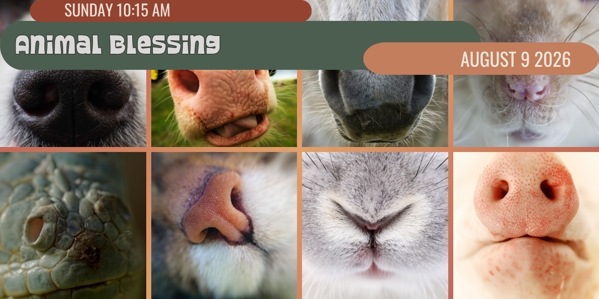 20260709 Animal Blessing